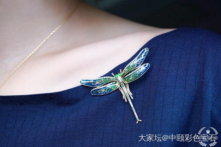 ##中颐天然彩色宝石胸针##  18K白金钻石镶嵌_胸饰名贵宝石