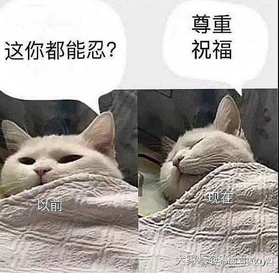 水贴～脑子不好的舍友结婚了。_闲聊