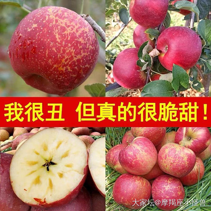 这个云南的丑苹果有人买过吗怎么样_水果