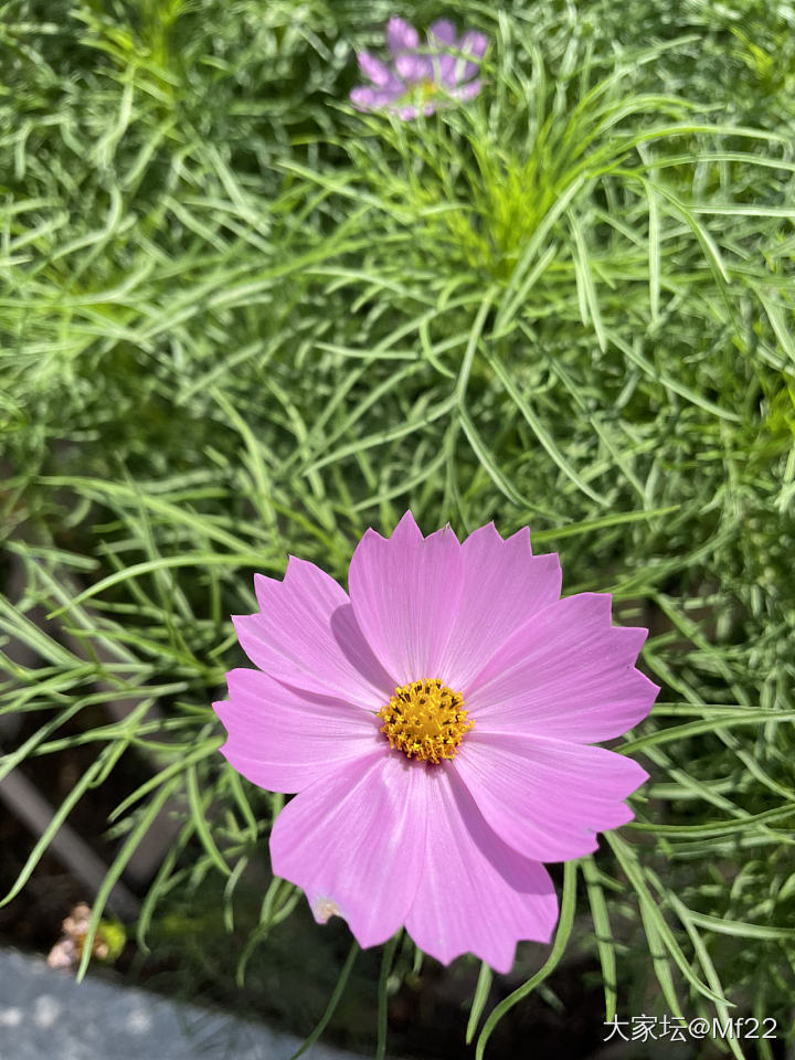 好阳光