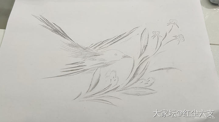 说到人设⊙_⊙_银