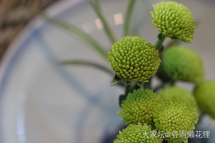 霜降日晒晒茶席~_陶瓷