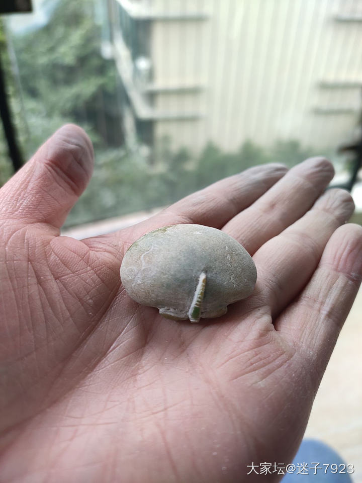 为蜻蜓点水整容，我终于开始玉雕上道了_雕刻翡翠