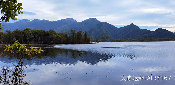 神农架大九湖_景色旅游