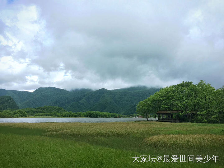 神农架大九湖_景色旅游