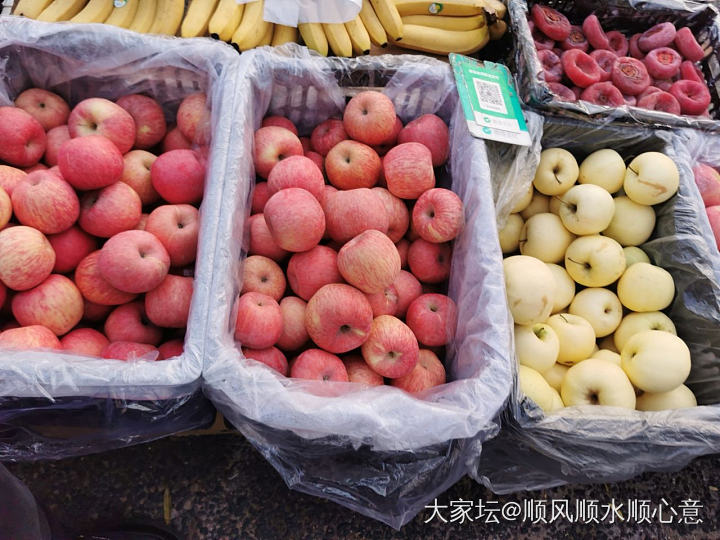 早市溜达溜达_食材美食水果