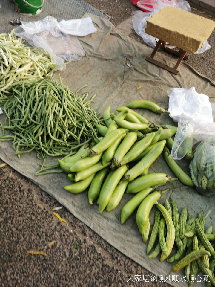 早市溜达溜达_食材美食水果