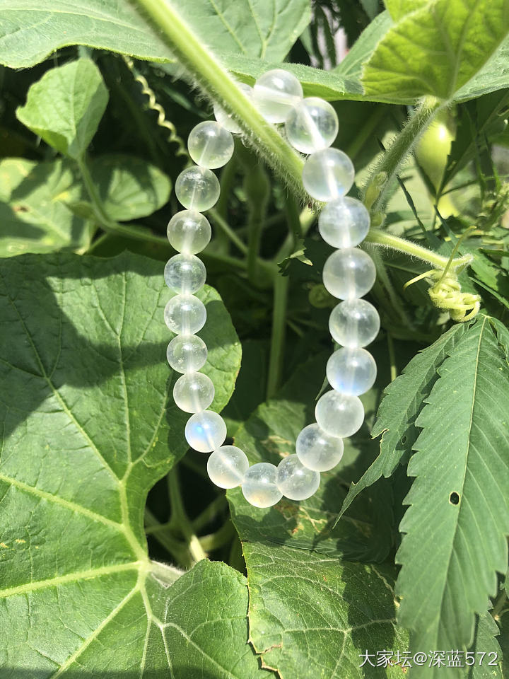 有小伙伴喜欢蓝月光石吗_月光石