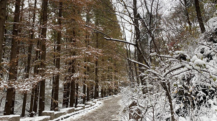 雪后北京植物园_景色