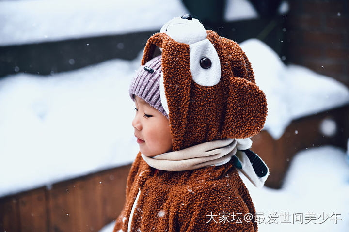 东北的大雪❄️～_闲聊景色