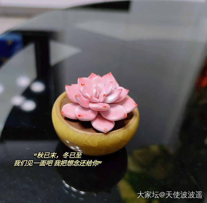 粘土捏了个多肉_泥艺