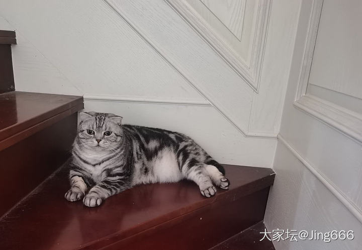 我是个不负责任的妈妈😭😭😭_猫闲聊