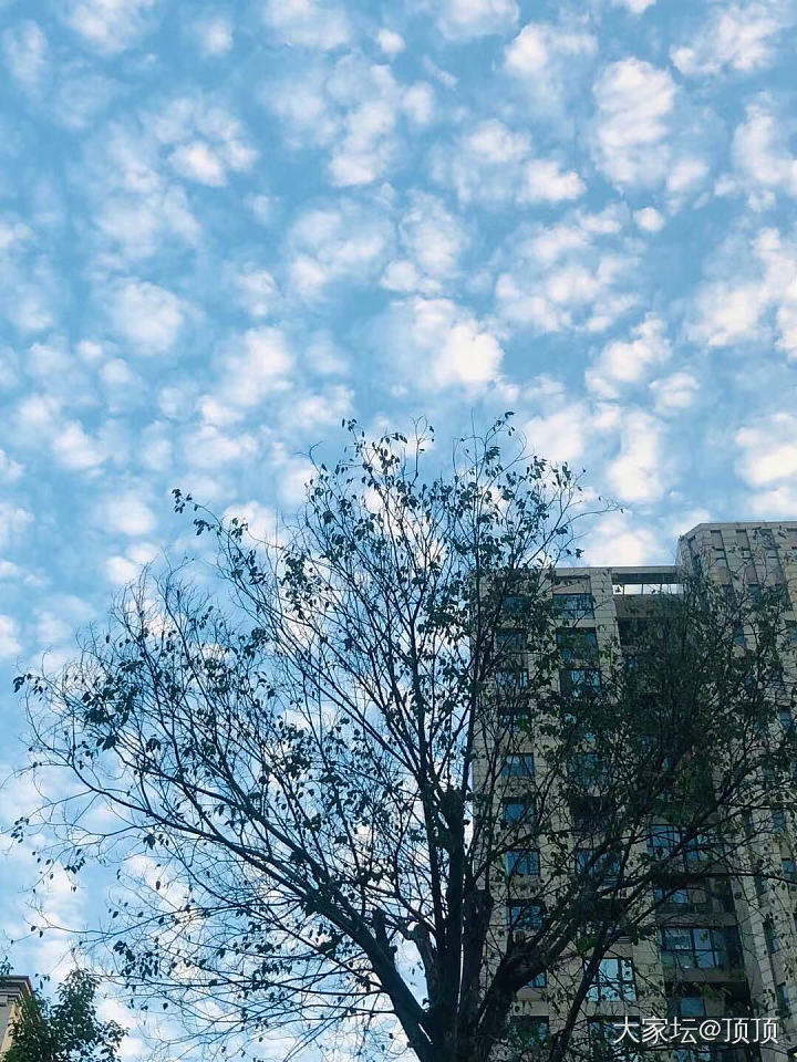 有没有推荐的好闻的香？_香道