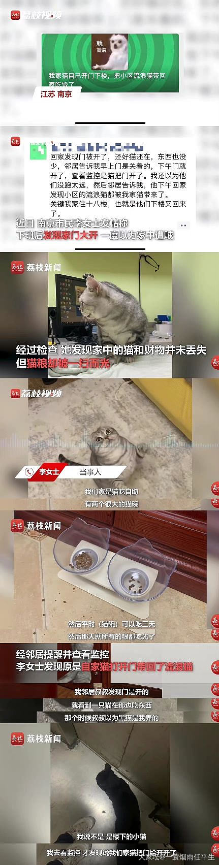 达则兼济天下_猫闲聊