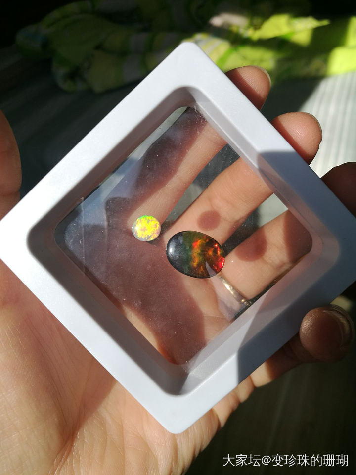 不知道干啥好系列_欧泊斑彩石