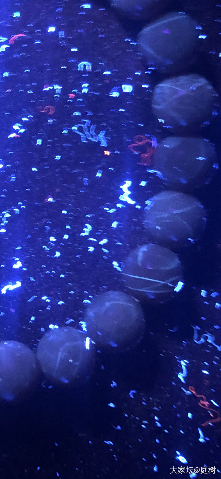 南红有荧光反应 怎么区分纹裂和注胶啊？_南红
