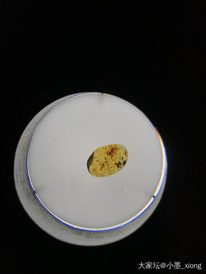 虫珀_琥珀蜜蜡