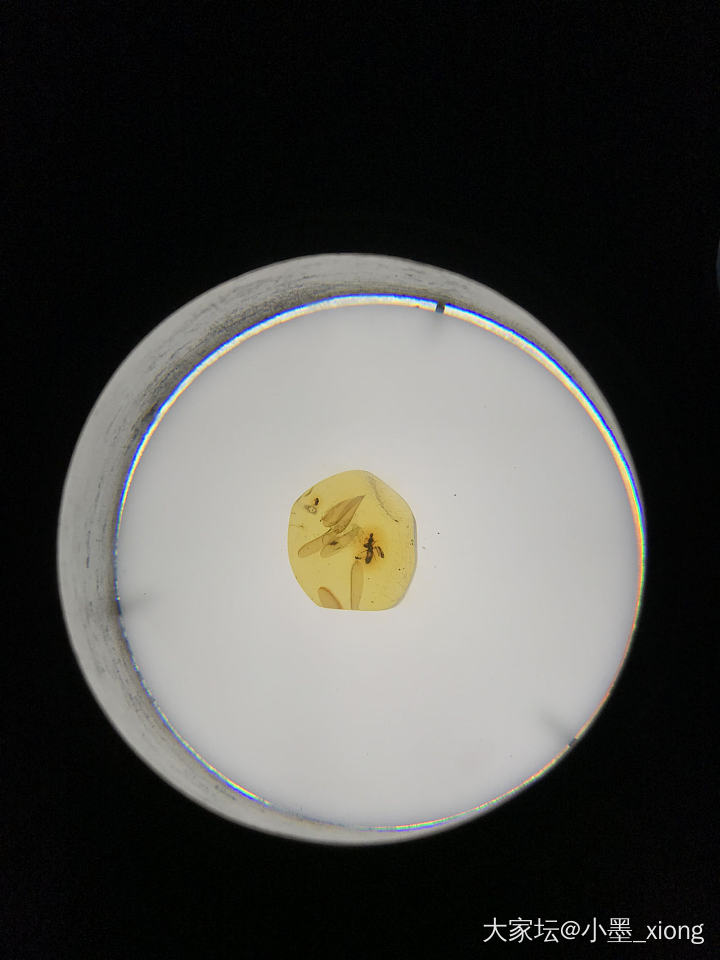 虫珀_琥珀蜜蜡