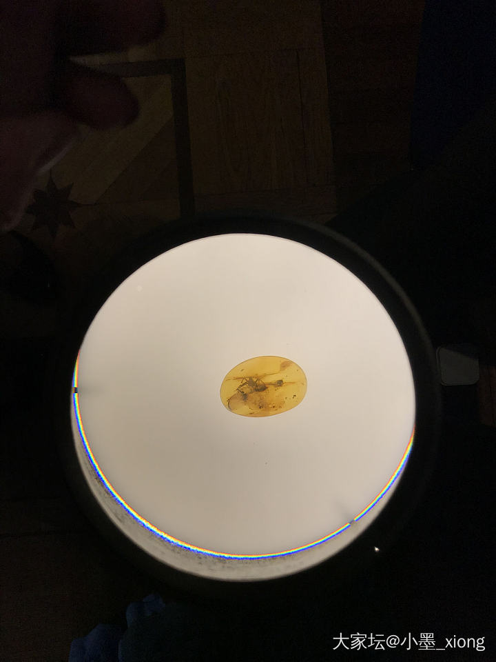 虫珀_琥珀蜜蜡