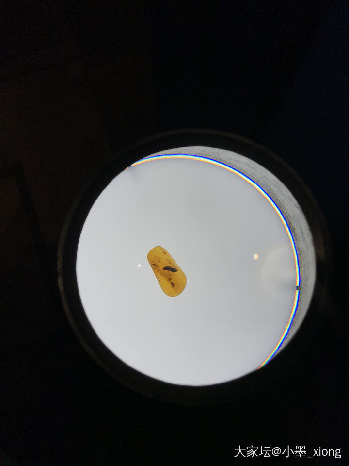 虫珀_琥珀蜜蜡