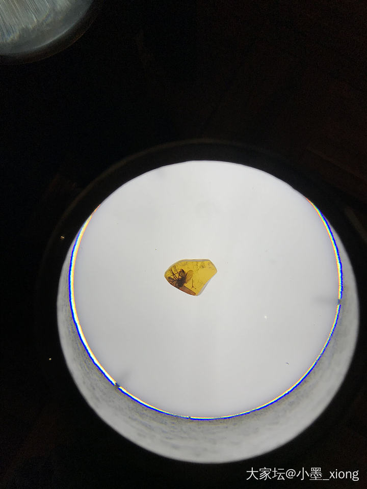 虫珀_琥珀蜜蜡