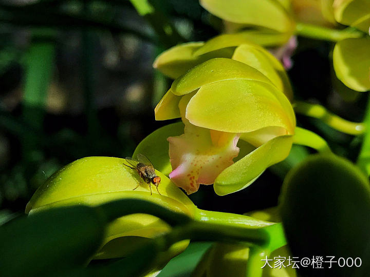 忙碌的一天_摄影