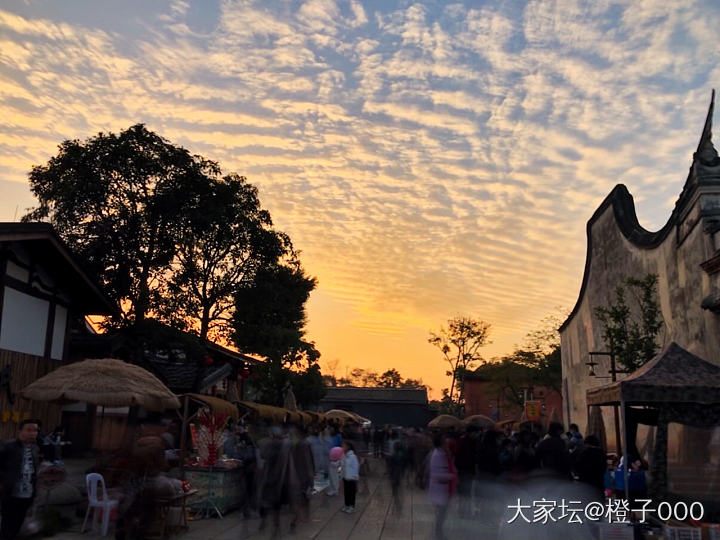 忙碌的一天_摄影