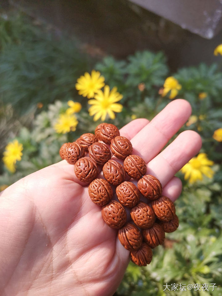 阳光就是最好的滤镜_核桃菩提子文玩