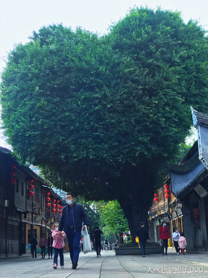 我最爱去的地方：福州三坊七巷（上午拍的）_摄影