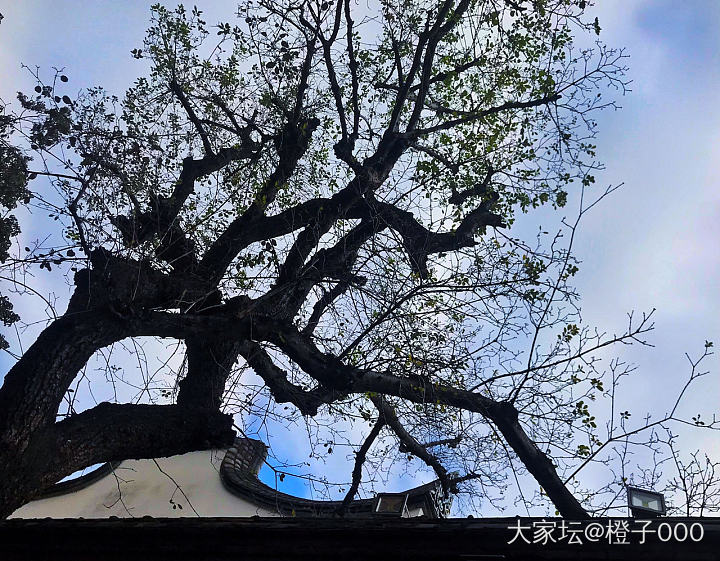 我最爱去的地方：福州三坊七巷（上午拍的）_摄影