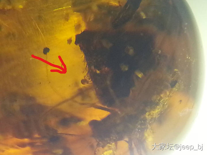 发几个虫子_琥珀蜜蜡