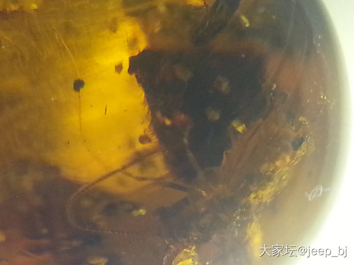 发几个虫子_琥珀蜜蜡