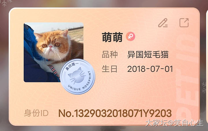 我们是有身份证的猫！_猫