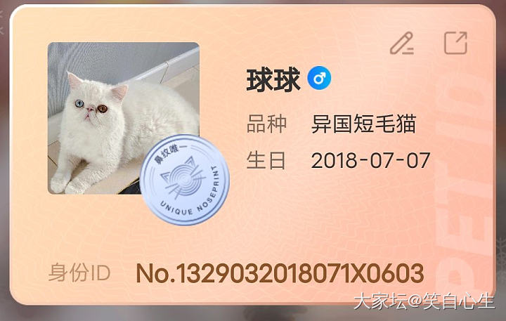 我们是有身份证的猫！_猫