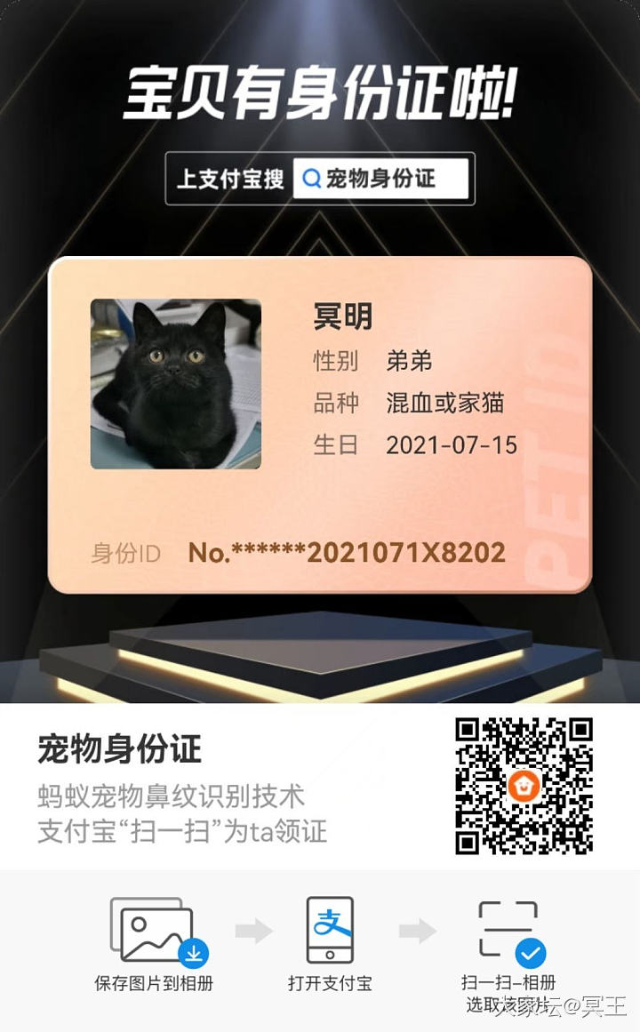 我们是有身份证的猫！_猫