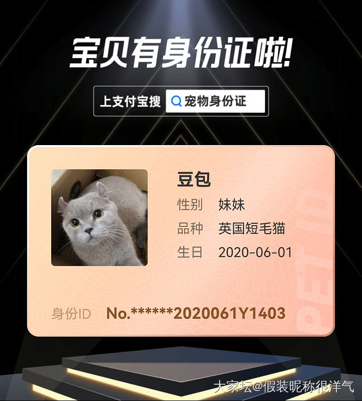 我们是有身份证的猫！_猫