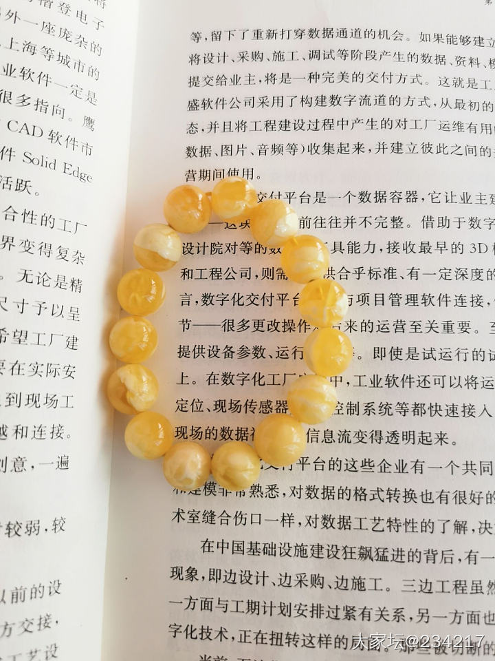 鸡蛋黄_琥珀蜜蜡