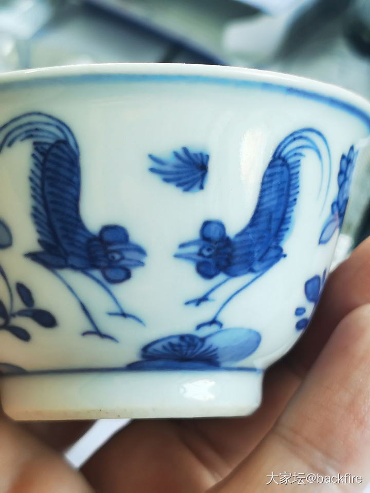 杯杯出来晒太阳~_陶瓷茶道