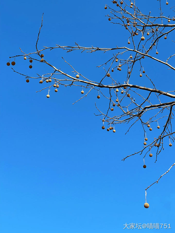 天空、树枝和练字，以及小手串_闲聊