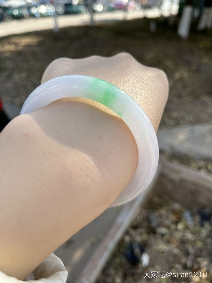 掉进白底青的坑出不来_手镯翡翠
