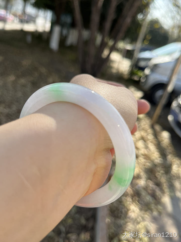 掉进白底青的坑出不来_手镯翡翠