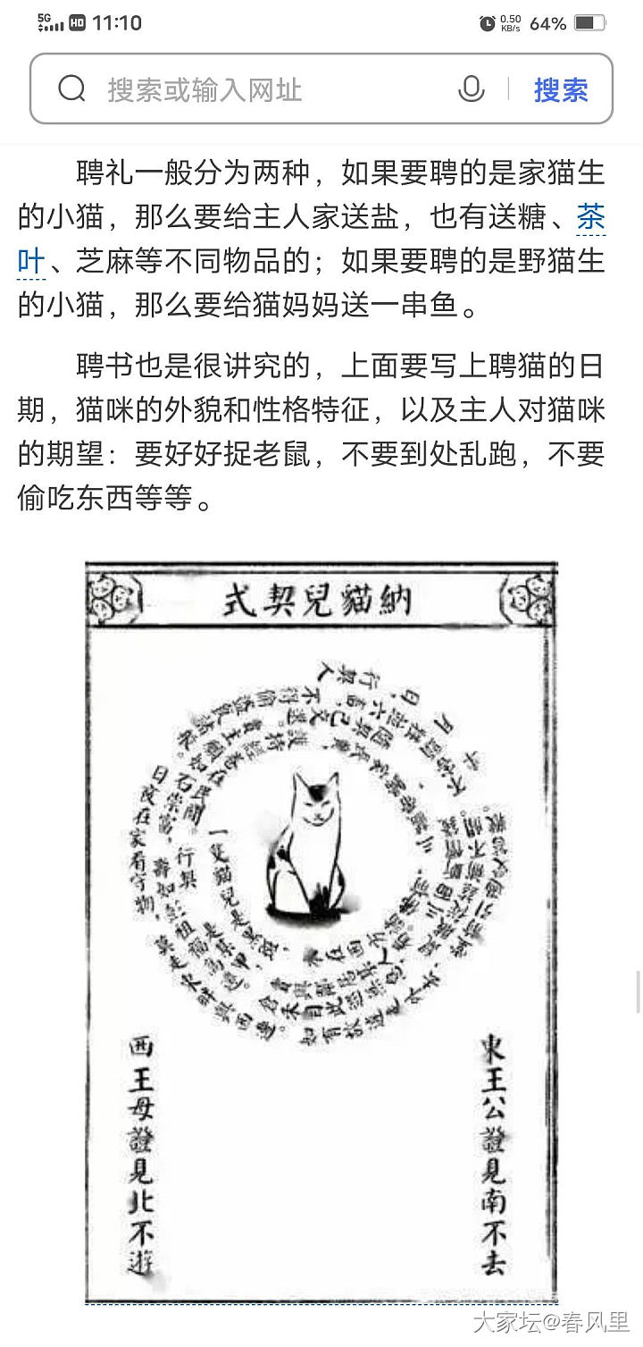 捡来的流浪猫要不要养_猫