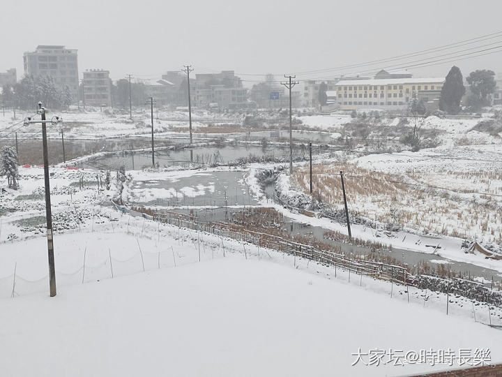 下雪啦❄️_闲聊