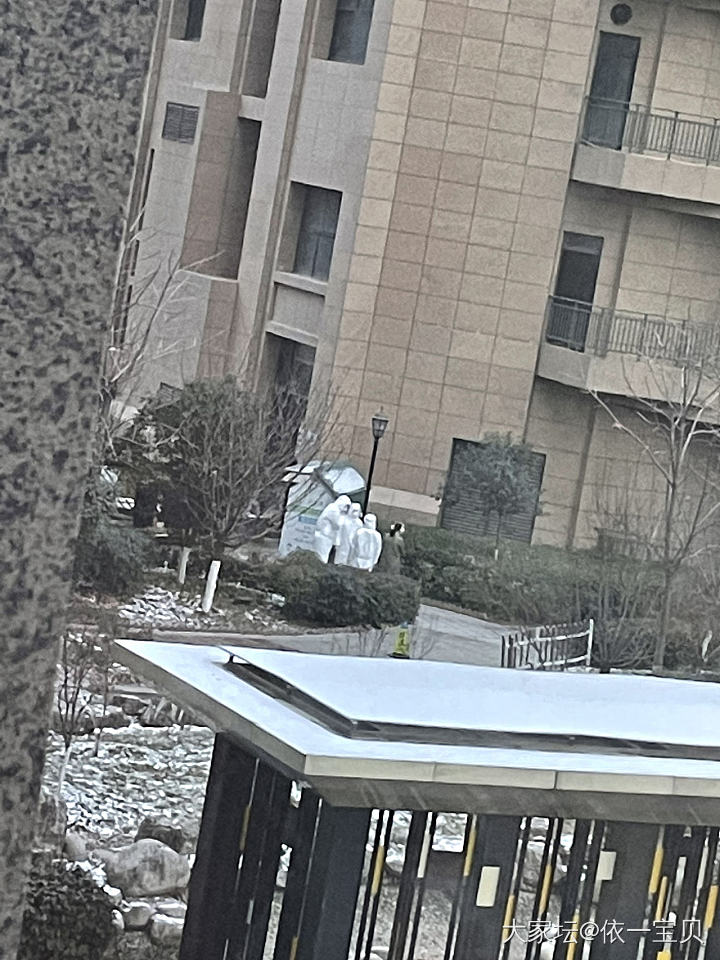早上起来院子里都是大白，慌的不行了