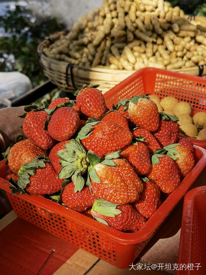 十块钱一斤的草莓_水果