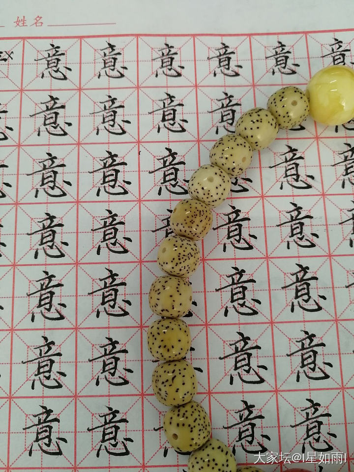 2021习字