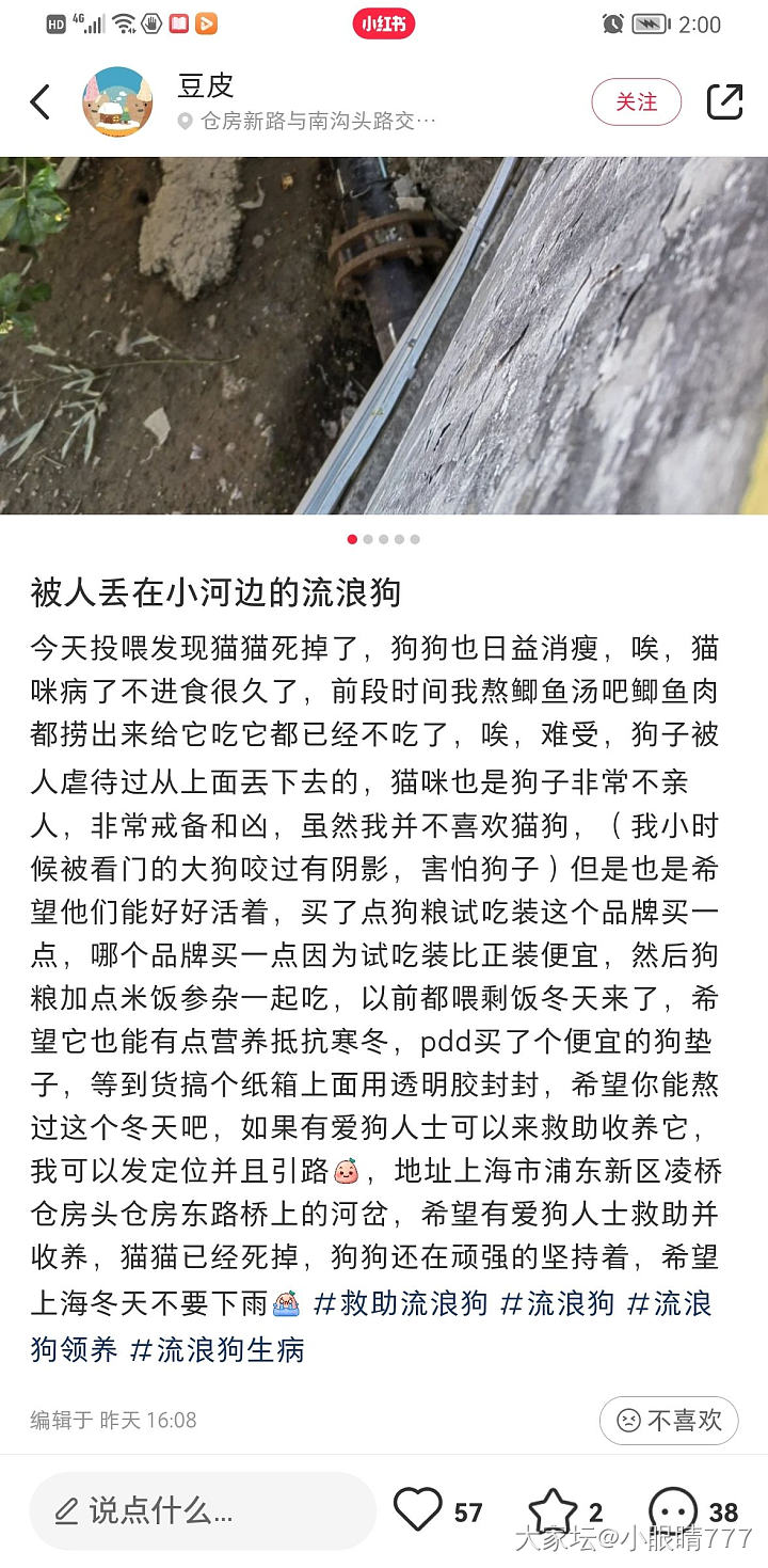 冬天看到流浪狗特揪心_狗