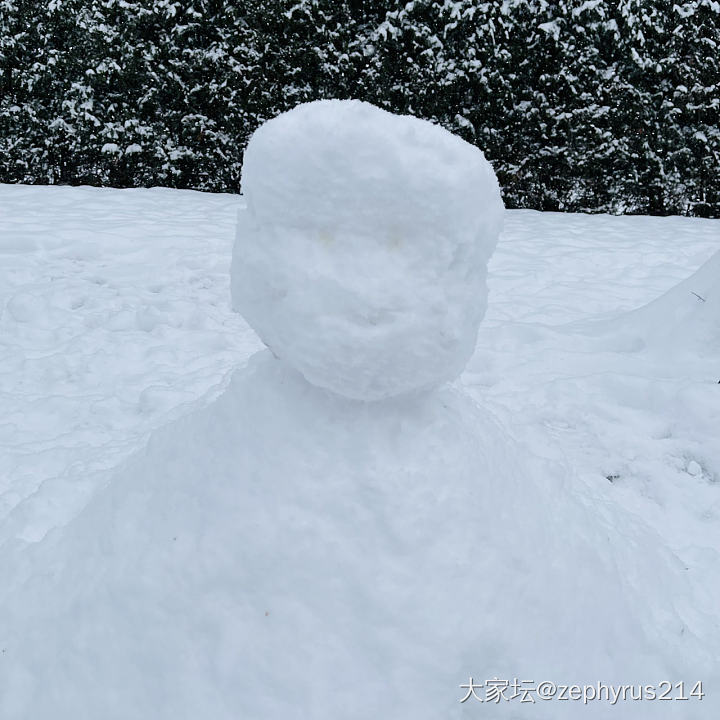 我吃了雪人☃️的眼睛_狗