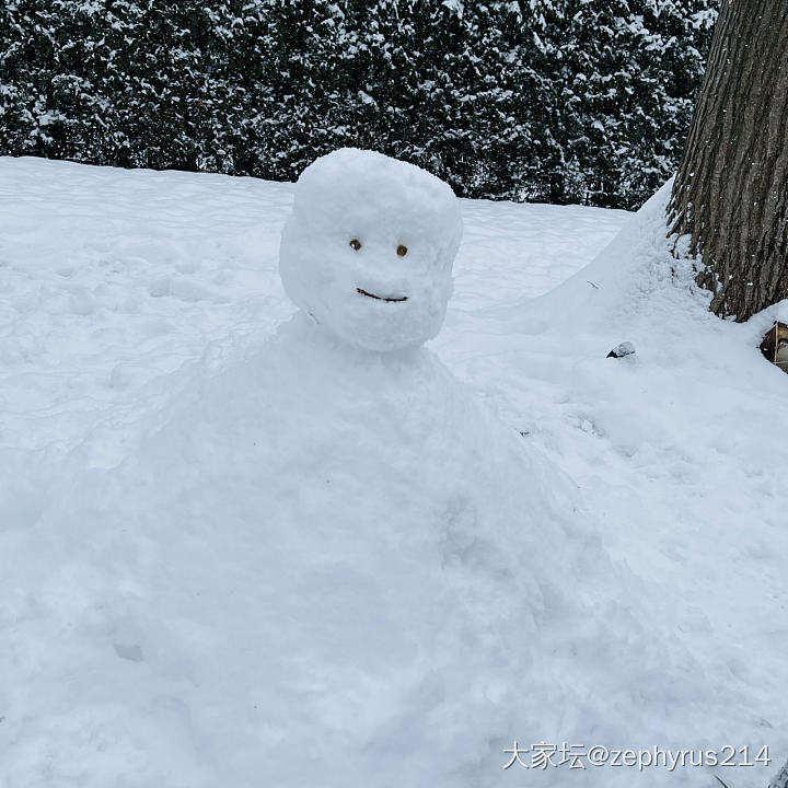 我吃了雪人☃️的眼睛_狗