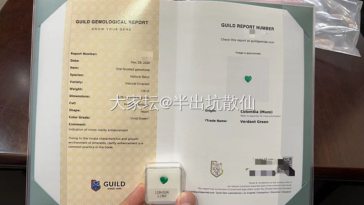 我的小绿心Guild出到了沃顿_机构证书名贵宝石